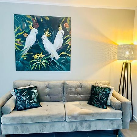 Appartement De Standing Proche Centre Ville Et Gare Mulhouse Esterno foto